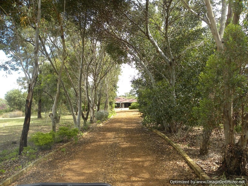 75 Blackbutt Grove, Gabbadah WA 6041