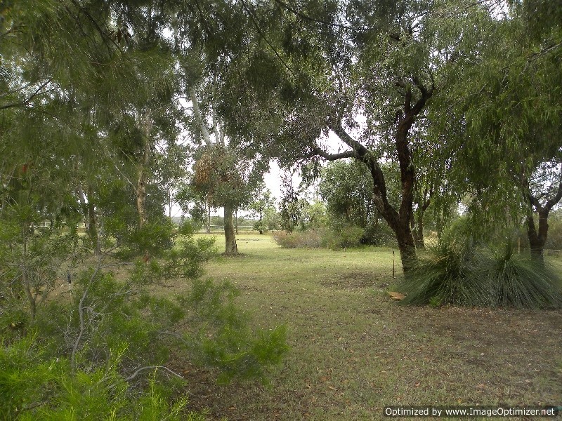 75 Blackbutt Grove, Gabbadah WA 6041