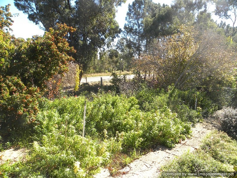 26 Chipping Court, Gabbadah WA 6041