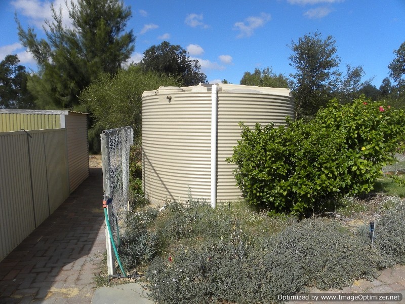 55 Bluegum Crescent, Gabbadah WA 6041