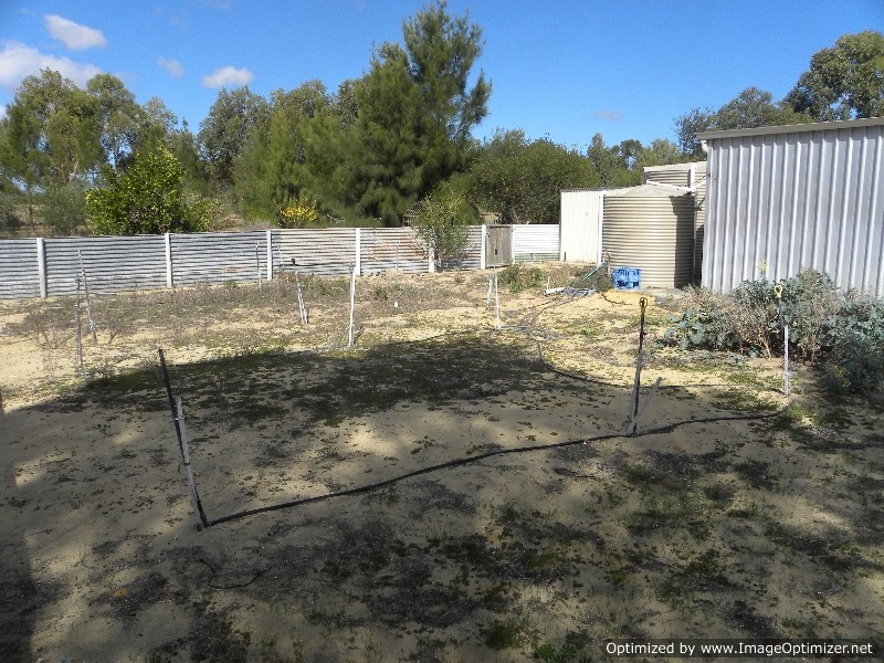 55 Bluegum Crescent, Gabbadah WA 6041