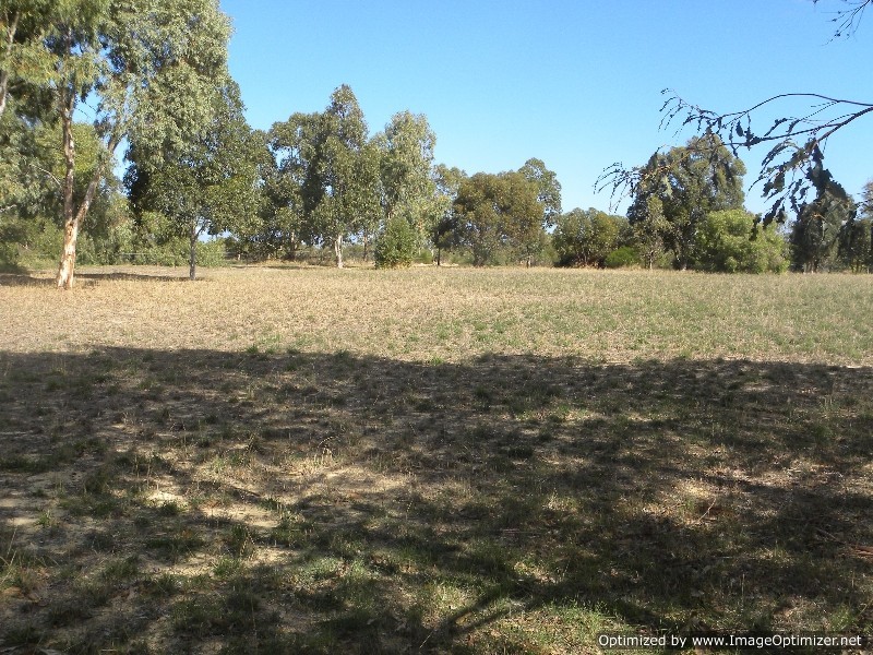 55 Bluegum Crescent, Gabbadah WA 6041