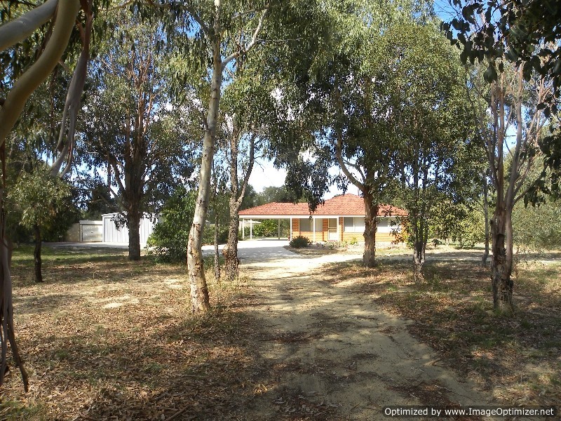 55 Bluegum Crescent, Gabbadah WA 6041