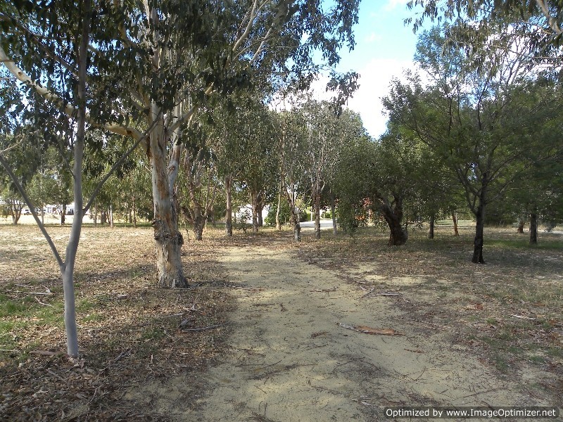 55 Bluegum Crescent, Gabbadah WA 6041