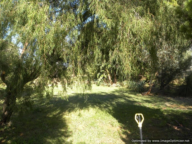 23 Wandoo Rise, Gabbadah WA 6041