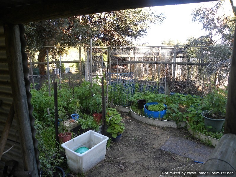 23 Wandoo Rise, Gabbadah WA 6041