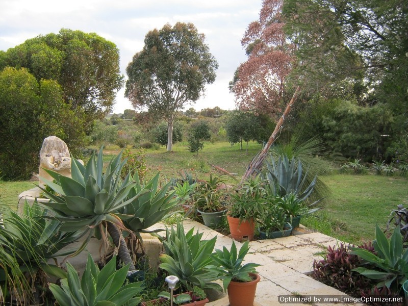 23 Wandoo Rise, Gabbadah WA 6041