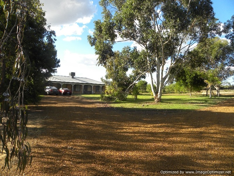 30 Bluegum Crescent, Gabbadah WA 6041