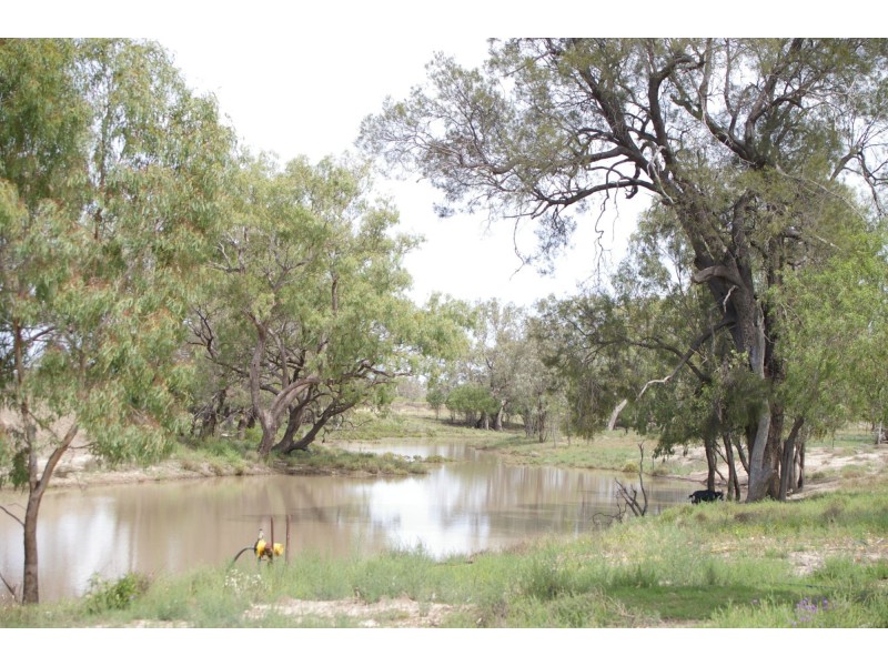 Goondiwindi QLD 4390
