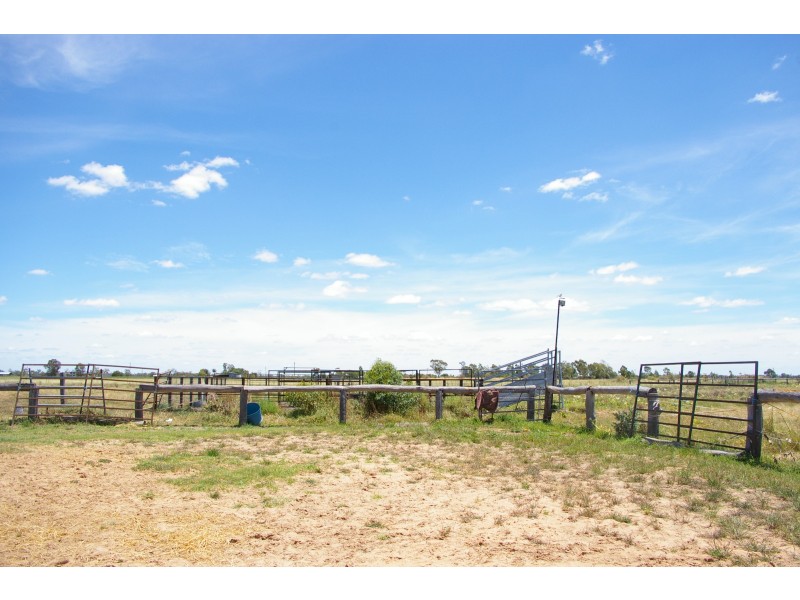 Goondiwindi QLD 4390