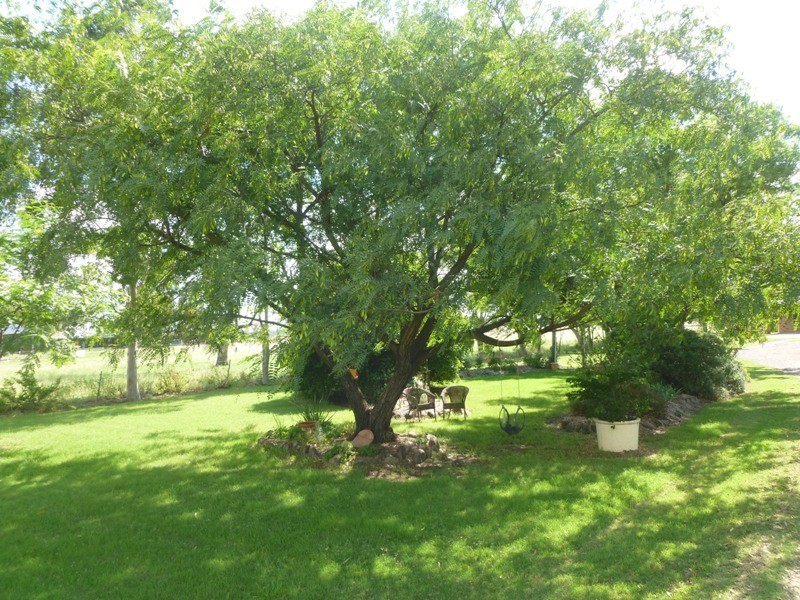 Goondiwindi QLD 4390