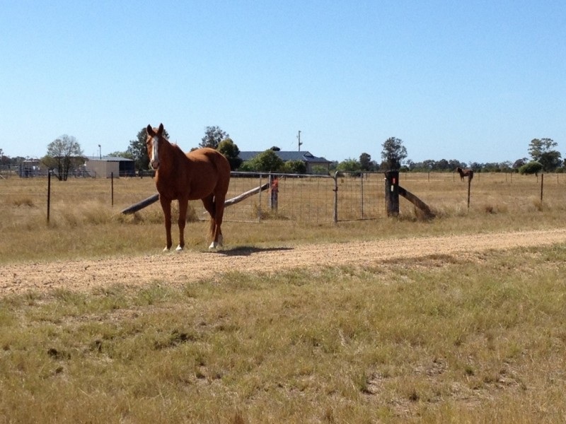Goondiwindi QLD 4390
