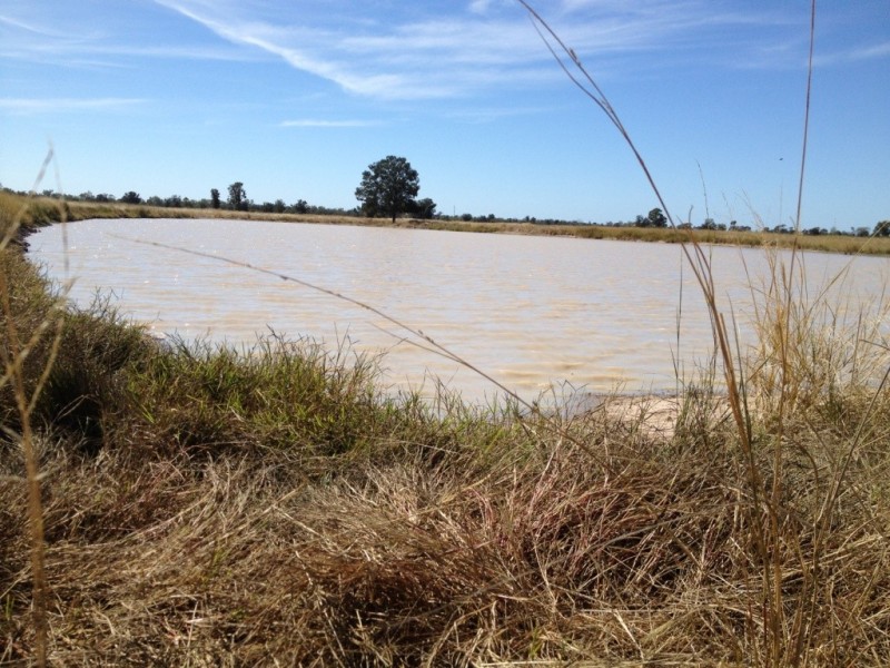 Goondiwindi QLD 4390