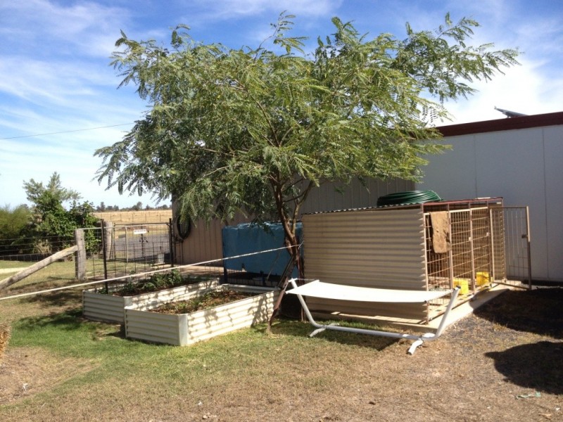 Goondiwindi QLD 4390