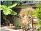 147 Markeri Street, Mermaid Waters QLD 4218