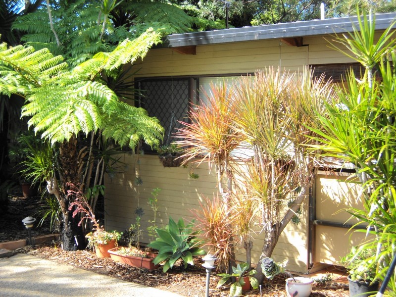 147 Markeri Street, Mermaid Waters QLD 4218