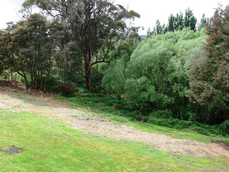 46 Ellendale Road, Westerway TAS 7140