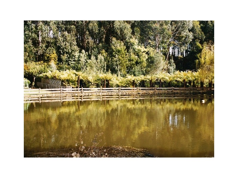 520 Lower Swamp Road, Lachlan TAS 7140