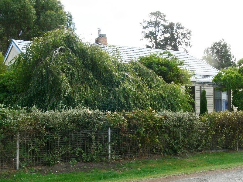 1725 Glenora Road, Bushy Park TAS 7140