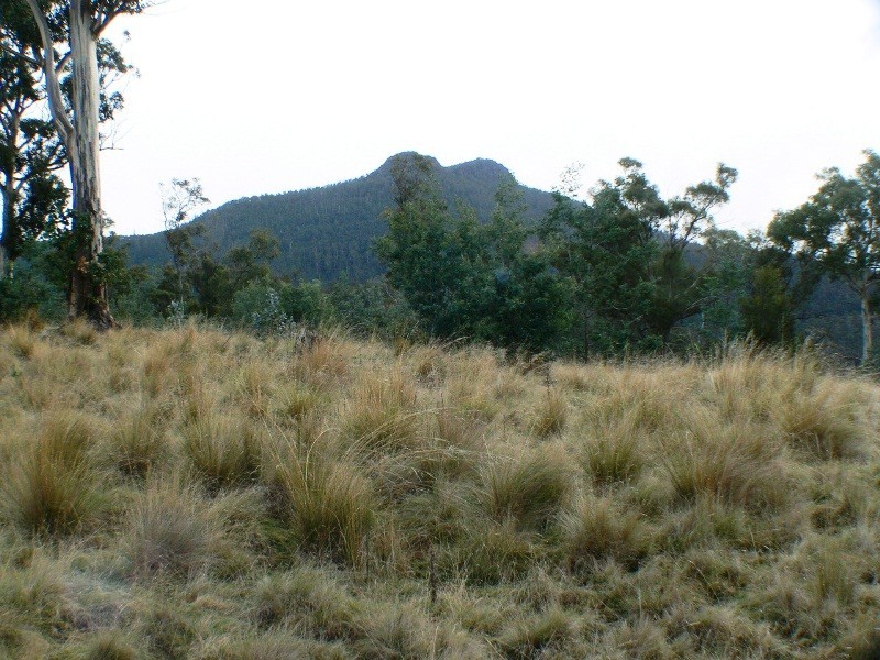 00 Cranes Road, Dromedary TAS 7030