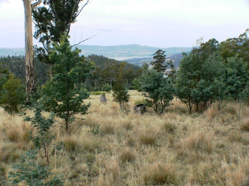 00 Cranes Road, Dromedary TAS 7030