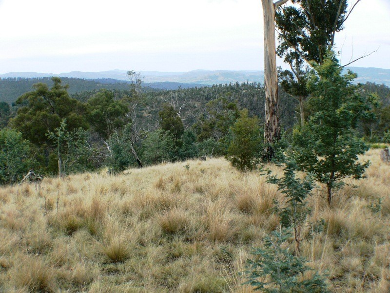 00 Cranes Road, Dromedary TAS 7030