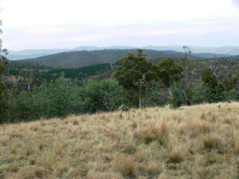 00 Cranes Road, Dromedary TAS 7030