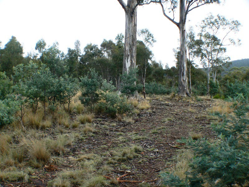 00 Cranes Road, Dromedary TAS 7030