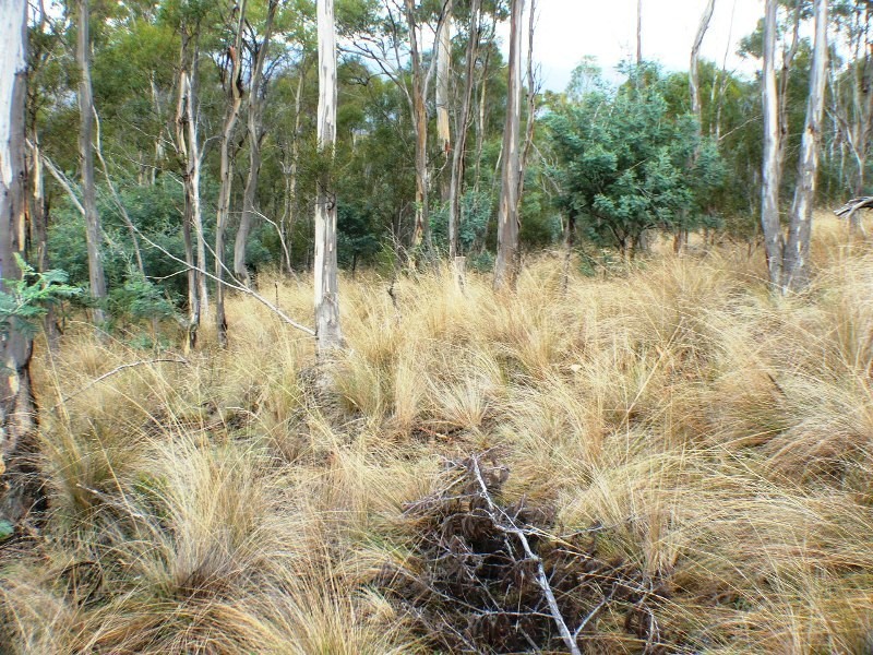 00 Cranes Road, Dromedary TAS 7030