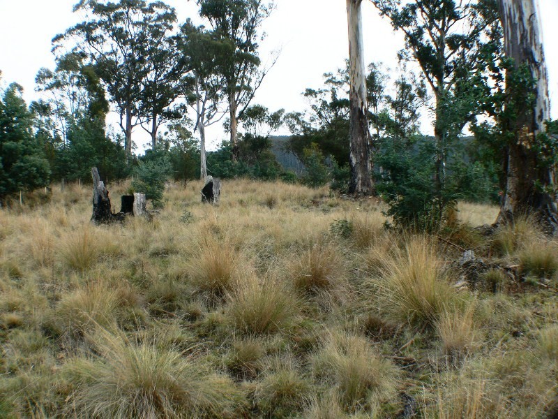 00 Cranes Road, Dromedary TAS 7030