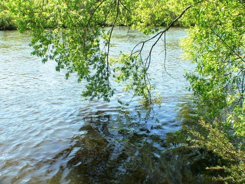 91 Glenora Road, New Norfolk TAS 7140