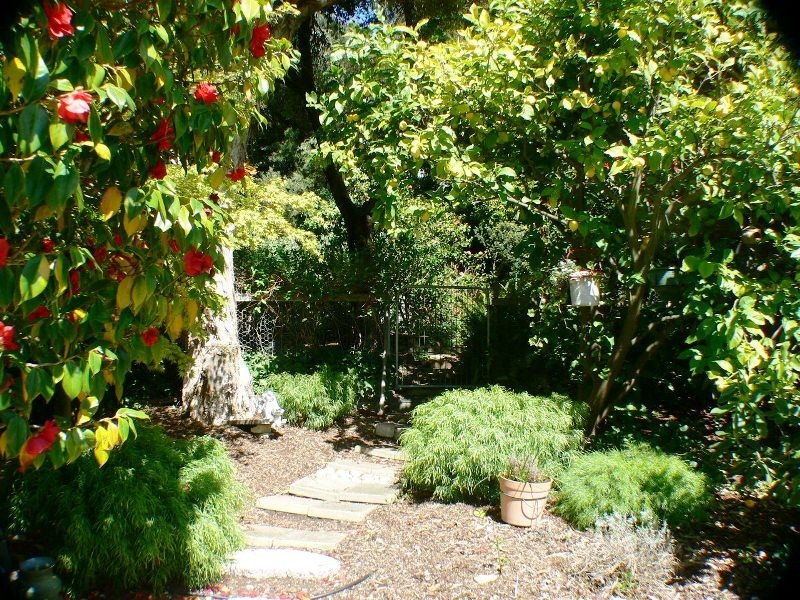 91 Glenora Road, New Norfolk TAS 7140