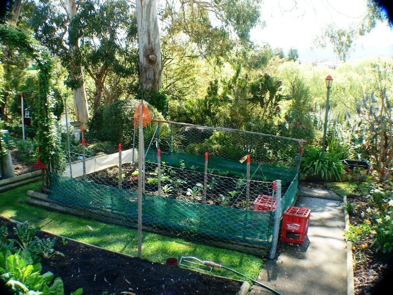 91 Glenora Road, New Norfolk TAS 7140