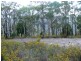 3/373 Church, Dromedary TAS 7030
