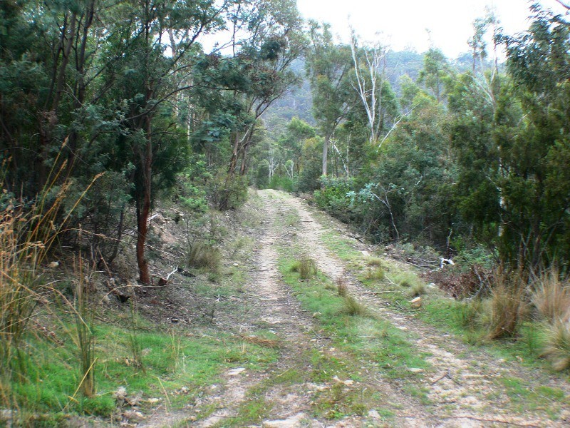 3/373 Church, Dromedary TAS 7030
