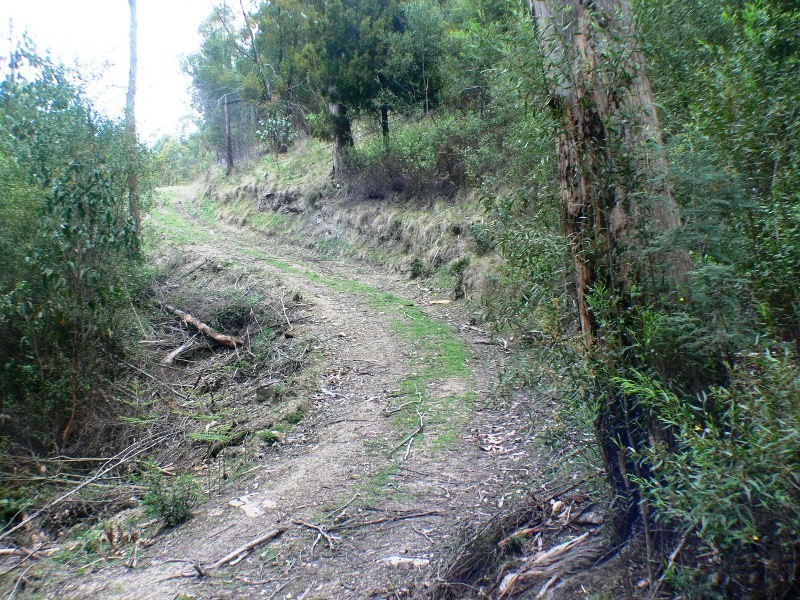 3/373 Church, Dromedary TAS 7030
