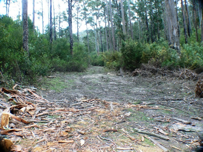 3/373 Church, Dromedary TAS 7030