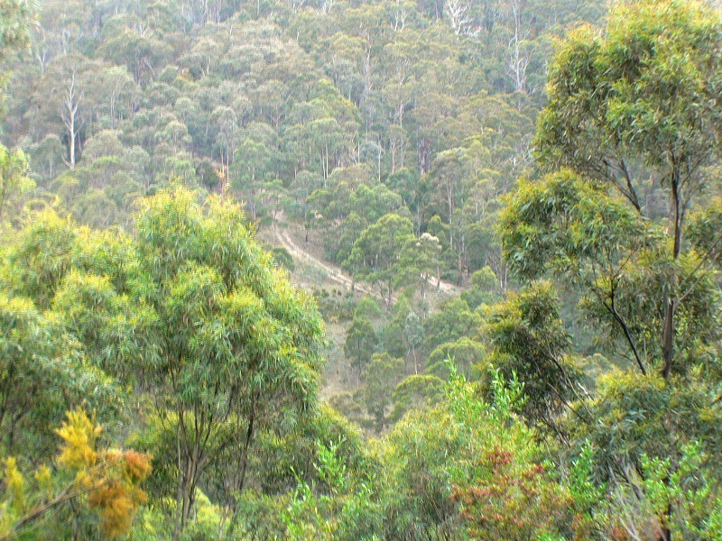 3/373 Church, Dromedary TAS 7030