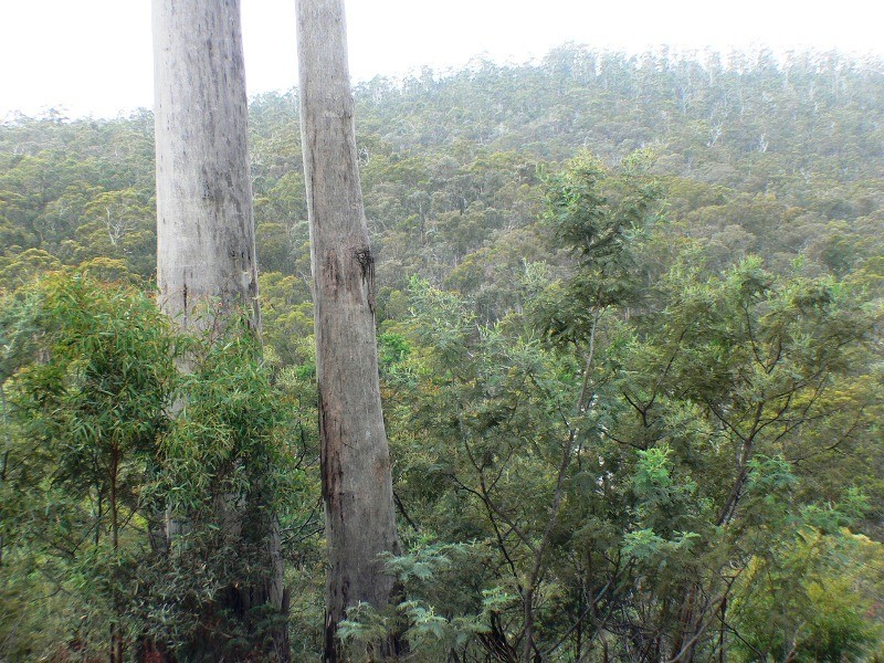 3/373 Church, Dromedary TAS 7030