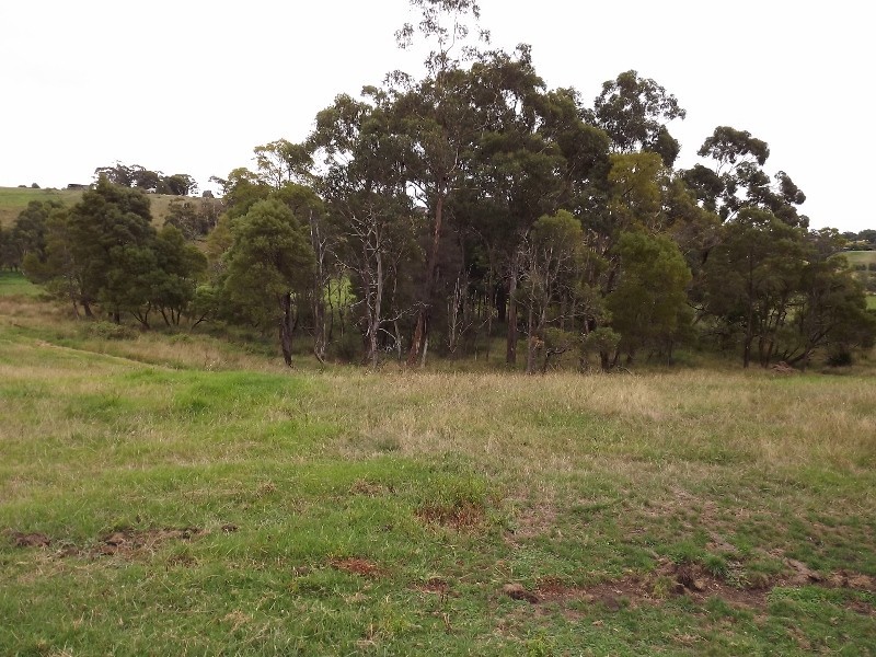 80 Two Mile Rd, Newborough VIC 3825