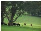 Bundanoon NSW 2578