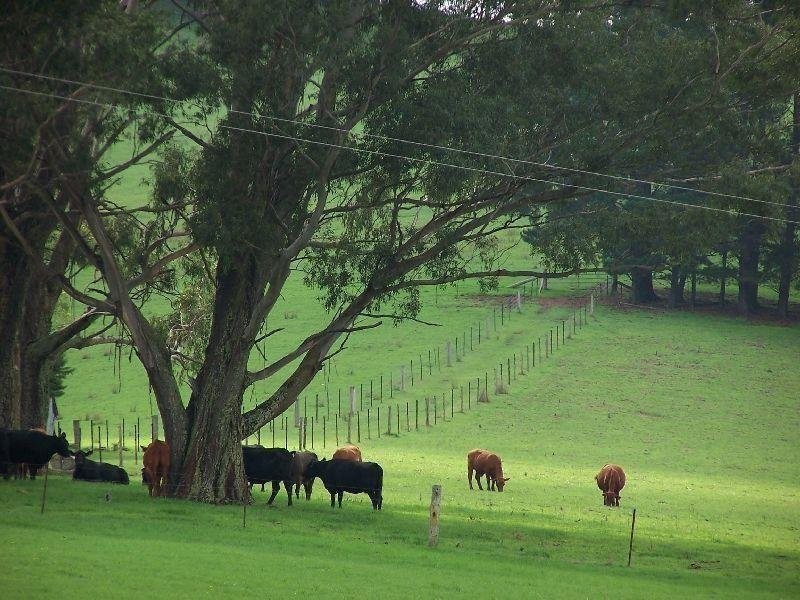 Bundanoon NSW 2578