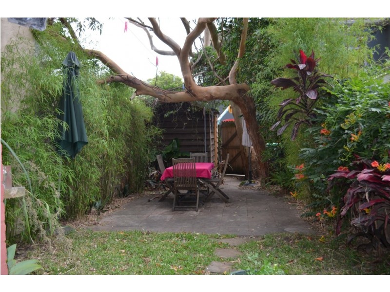 19 Burnie Street, Clovelly NSW 2031