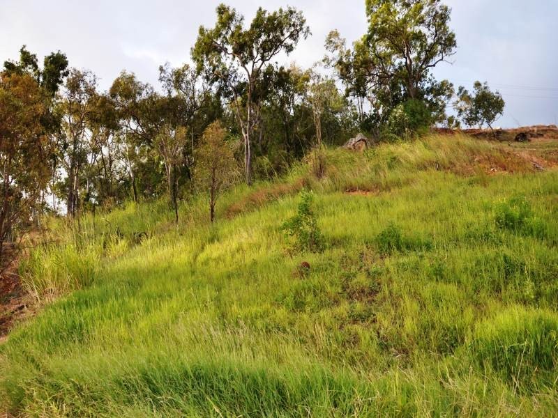 12 Craigie Court, Bowen QLD 4805