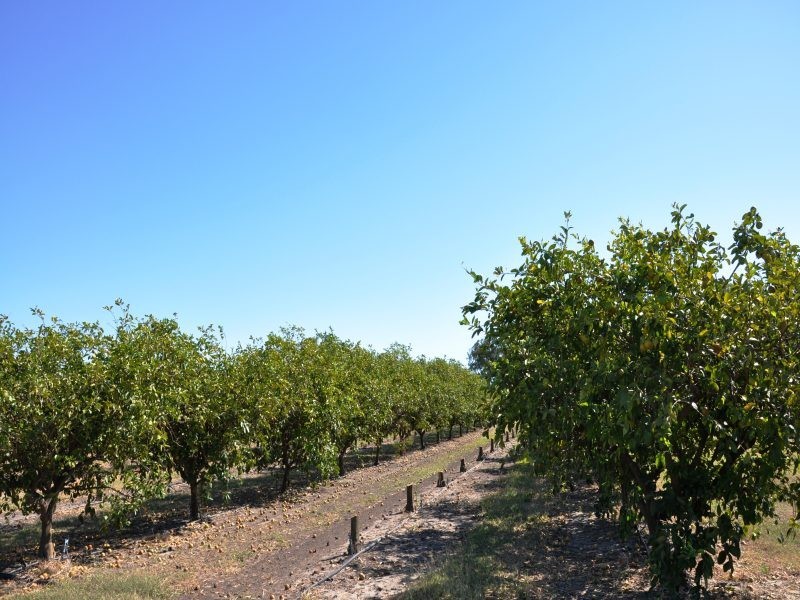 3 Railway Road, Bowen QLD 4805