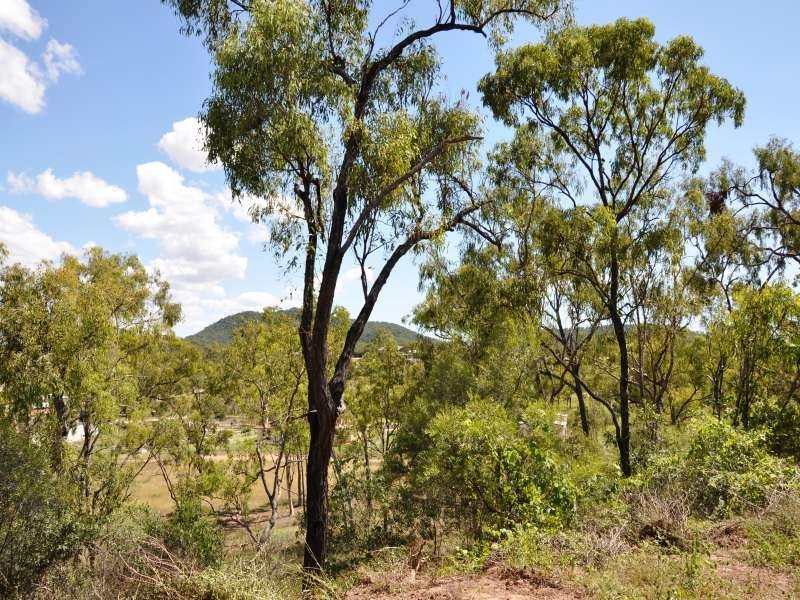 403 Africandar Road, Bowen QLD 4805