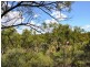 403 Africandar Road, Bowen QLD 4805