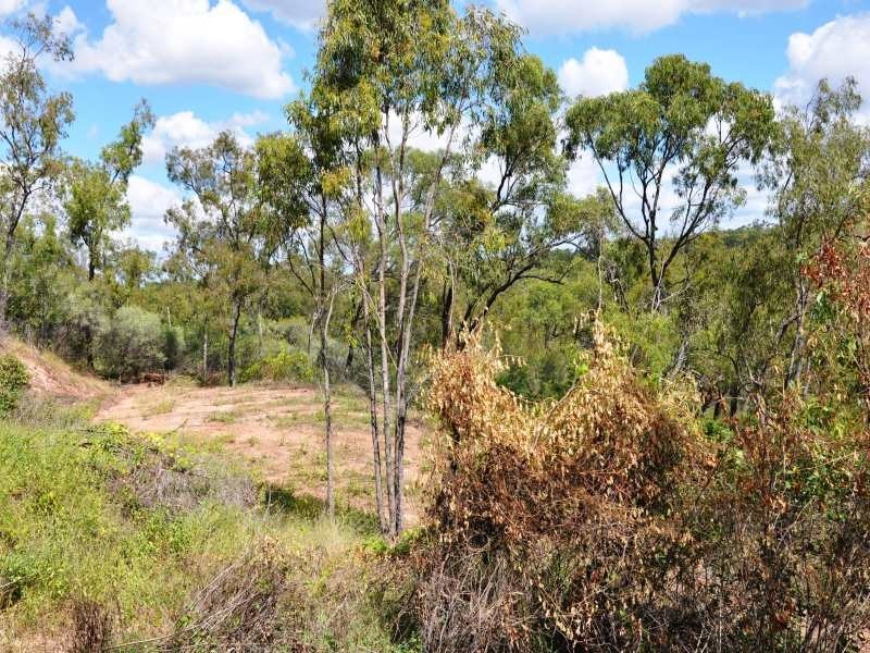 403 Africandar Road, Bowen QLD 4805