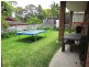 59 Beacon Avenue, Beacon Hill NSW 2100