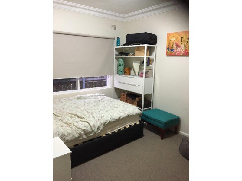 47 Idaline Street, Collaroy Plateau NSW 2097